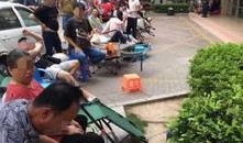 厦门幼儿园爆料视频最新,揭秘园所真实状况