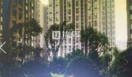 绿洲华府爆料最新消息,揭秘神秘项目背后的真相